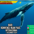 Sumatraco Libatkan Masyarakat dalam Peringatan Hari Konvensi Ikan Paus
