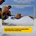 Strategi Hulu ke Hilir, PT.Sumatraco Langgeng Makmur Bangun Industri Garam Berdaya Saing
