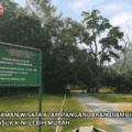 Pengelolaan Taman Wisata Alam Pangandaran Diambil Alih KSDA, Harga Tiket Masuk Kini Lebih Murah